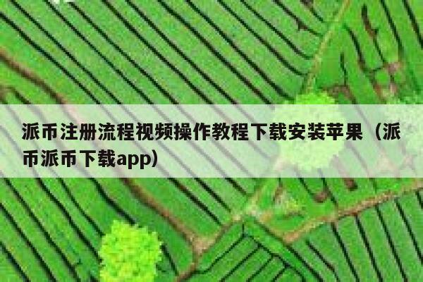 派币注册流程视频操作教程下载安装苹果（派币派币下载app） 第1张