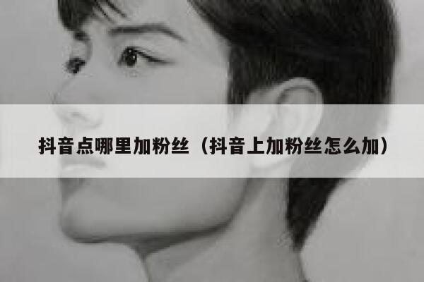 抖音点哪里加粉丝(抖音上加粉丝怎么加) 第1张 抖音点哪里加粉丝(抖音上加粉丝怎么加) 第1张