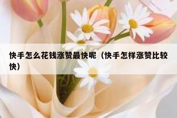 快手怎么花钱涨赞最快呢（快手怎样涨赞比较快） 第1张
