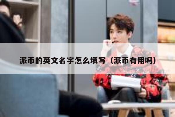 派币的英文名字怎么填写(派币有用吗) 第1张 派币的英文名字怎么填写(派币有用吗) 第1张