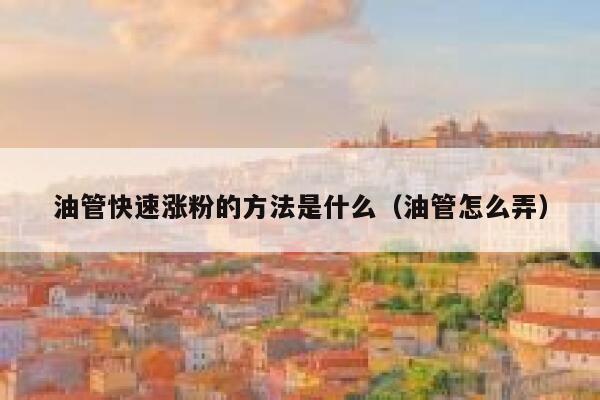 油管快速涨粉的方法是什么(油管怎么弄) 第1张 油管快速涨粉的方法是什么(油管怎么弄) 第1张