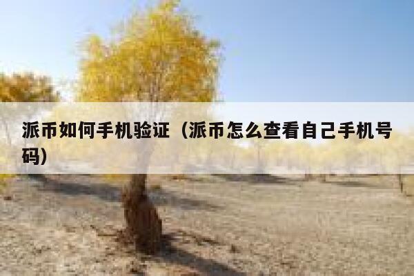 派币如何手机验证(派币怎么查看自己手机号码) 第1张 派币如何手机验证(派币怎么查看自己手机号码) 第1张