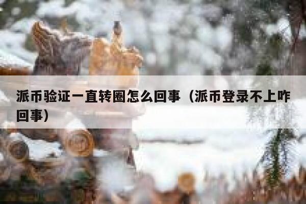 派币验证一直转圈怎么回事（派币登录不上咋回事） 第1张