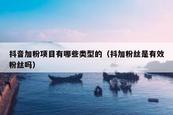 抖音加粉项目有哪些类型的(抖加粉丝是有效粉丝吗) 第1张 抖音加粉项目有哪些类型的(抖加粉丝是有效粉丝吗) 第1张