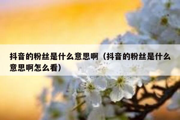 抖音的粉丝是什么意思啊（抖音的粉丝是什么意思啊怎么看） 第1张