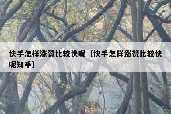 快手怎样涨赞比较快呢(快手怎样涨赞比较快呢知乎) 第1张 快手怎样涨赞比较快呢(快手怎样涨赞比较快呢知乎) 第1张