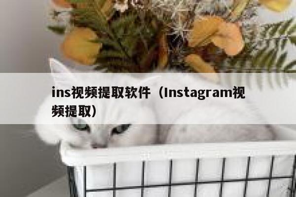 ins视频提取软件(Instagram视频提取) 第1张 ins视频提取软件(Instagram视频提取) 第1张