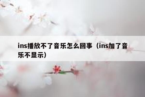 ins播放不了音乐怎么回事(ins加了音乐不显示) 第1张 ins播放不了音乐怎么回事(ins加了音乐不显示) 第1张