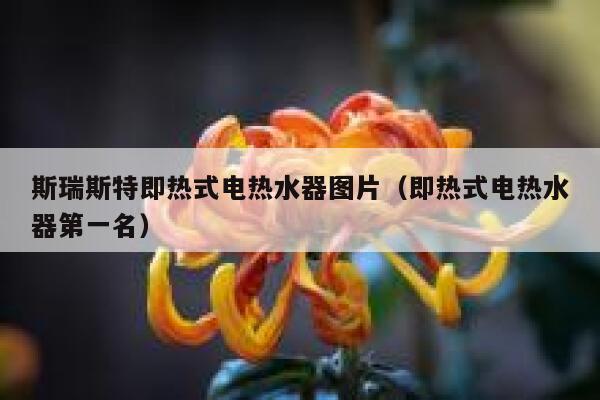 斯瑞斯特即热式电热水器图片(即热式电热水器第一名) 第1张 斯瑞斯特即热式电热水器图片(即热式电热水器第一名) 第1张