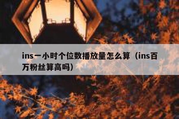 ins一小时个位数播放量怎么算(ins百万粉丝算高吗) 第1张 ins一小时个位数播放量怎么算(ins百万粉丝算高吗) 第1张