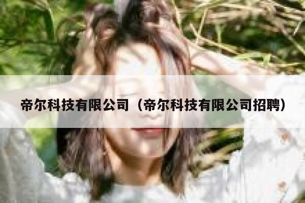 帝尔科技有限公司(帝尔科技有限公司招聘) 第1张 帝尔科技有限公司(帝尔科技有限公司招聘) 第1张