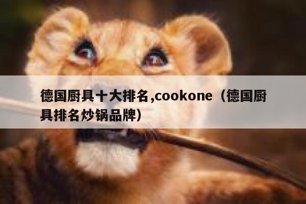 德国厨具十大排名,cookone(德国厨具排名炒锅品牌) 第1张 德国厨具十大排名,cookone(德国厨具排名炒锅品牌) 第1张