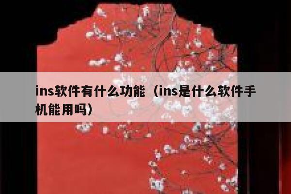 ins软件有什么功能(ins是什么软件手机能用吗) 第1张 ins软件有什么功能(ins是什么软件手机能用吗) 第1张