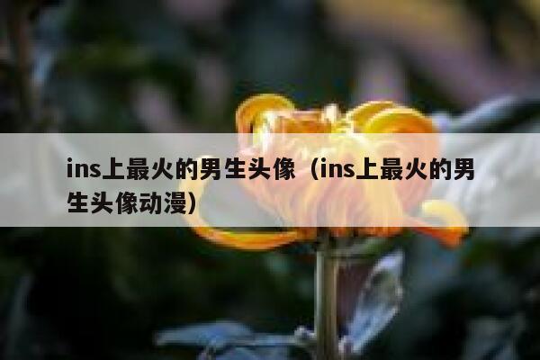 ins上最火的男生头像(ins上最火的男生头像动漫) 第1张 ins上最火的男生头像(ins上最火的男生头像动漫) 第1张