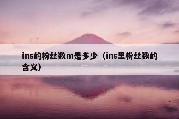 ins的粉丝数m是多少(ins里粉丝数的含义) 第1张 ins的粉丝数m是多少(ins里粉丝数的含义) 第1张