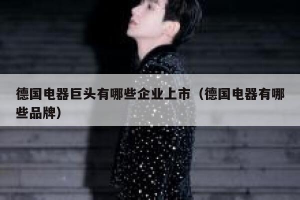 德国电器巨头有哪些企业上市(德国电器有哪些品牌) 第1张 德国电器巨头有哪些企业上市(德国电器有哪些品牌) 第1张