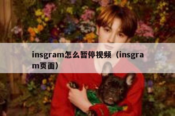 insgram怎么暂停视频(insgram页面) 第1张 insgram怎么暂停视频(insgram页面) 第1张