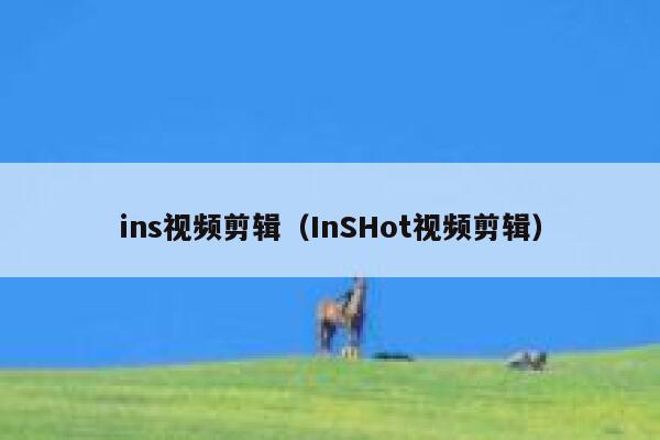 ins视频剪辑(InSHot视频剪辑) 第1张 ins视频剪辑(InSHot视频剪辑) 第1张