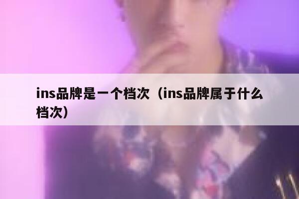 ins品牌是一个档次（ins品牌属于什么档次） 第1张