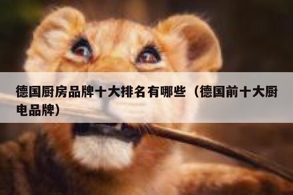 德国厨房品牌十大排名有哪些(德国前十大厨电品牌) 第1张 德国厨房品牌十大排名有哪些(德国前十大厨电品牌) 第1张