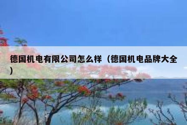 德国机电有限公司怎么样(德国机电品牌大全) 第1张 德国机电有限公司怎么样(德国机电品牌大全) 第1张