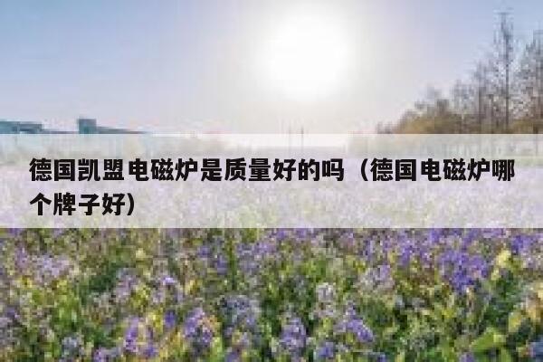 德国凯盟电磁炉是质量好的吗（德国电磁炉哪个牌子好） 第1张