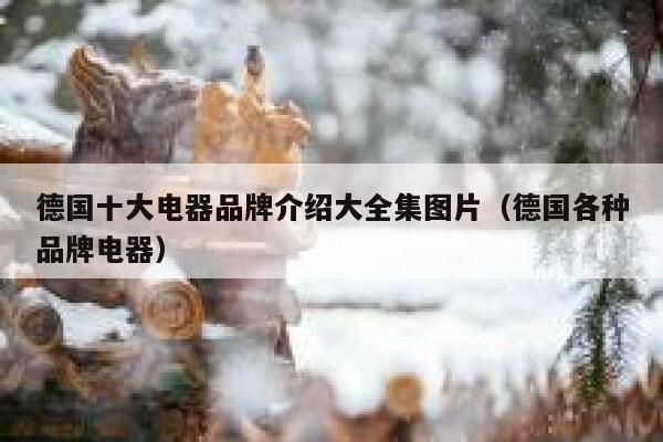 德国十大电器品牌介绍大全集图片(德国各种品牌电器) 第1张 德国十大电器品牌介绍大全集图片(德国各种品牌电器) 第1张
