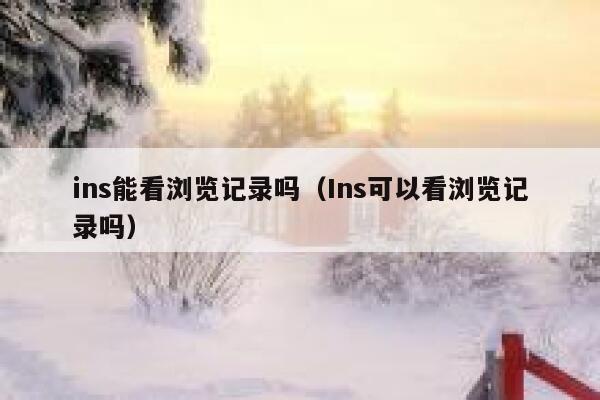 ins能看浏览记录吗（Ins可以看浏览记录吗） 第1张