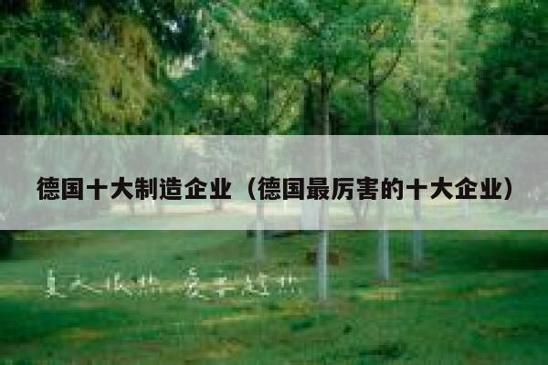 德国十大制造企业(德国最厉害的十大企业) 第1张 德国十大制造企业(德国最厉害的十大企业) 第1张