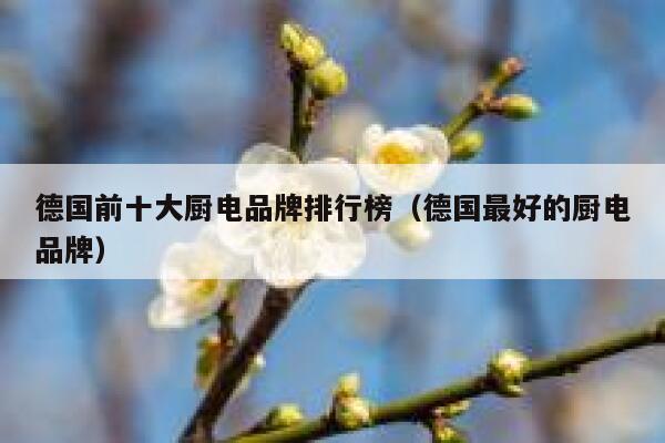 德国前十大厨电品牌排行榜(德国最好的厨电品牌) 第1张 德国前十大厨电品牌排行榜(德国最好的厨电品牌) 第1张