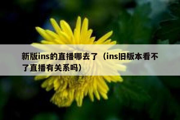 新版ins的直播哪去了(ins旧版本看不了直播有关系吗) 第1张 新版ins的直播哪去了(ins旧版本看不了直播有关系吗) 第1张