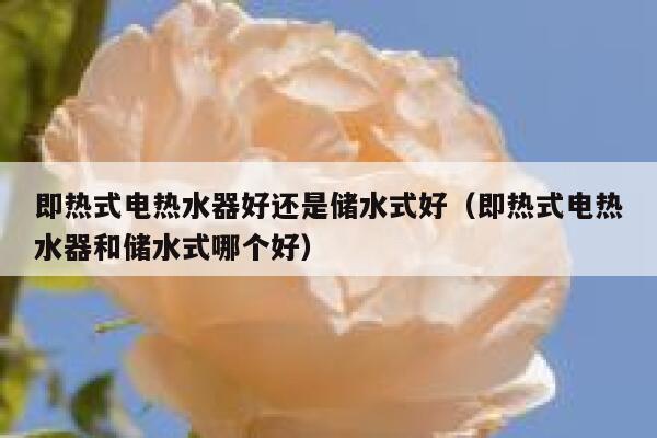即热式电热水器好还是储水式好（即热式电热水器和储水式哪个好） 第1张