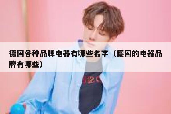 德国各种品牌电器有哪些名字(德国的电器品牌有哪些) 第1张 德国各种品牌电器有哪些名字(德国的电器品牌有哪些) 第1张
