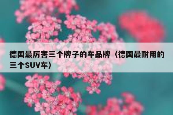 德国最厉害三个牌子的车品牌(德国最耐用的三个SUV车) 第1张 德国最厉害三个牌子的车品牌(德国最耐用的三个SUV车) 第1张
