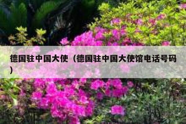 德国驻中国大使(德国驻中国大使馆电话号码) 第1张 德国驻中国大使(德国驻中国大使馆电话号码) 第1张