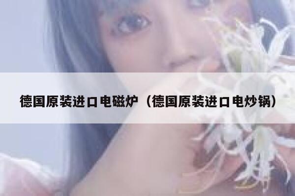 德国原装进口电磁炉(德国原装进口电炒锅) 第1张 德国原装进口电磁炉(德国原装进口电炒锅) 第1张
