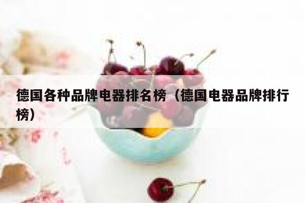 德国各种品牌电器排名榜(德国电器品牌排行榜) 第1张 德国各种品牌电器排名榜(德国电器品牌排行榜) 第1张