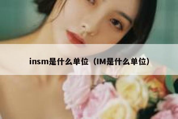 insm是什么单位(IM是什么单位) 第1张 insm是什么单位(IM是什么单位) 第1张