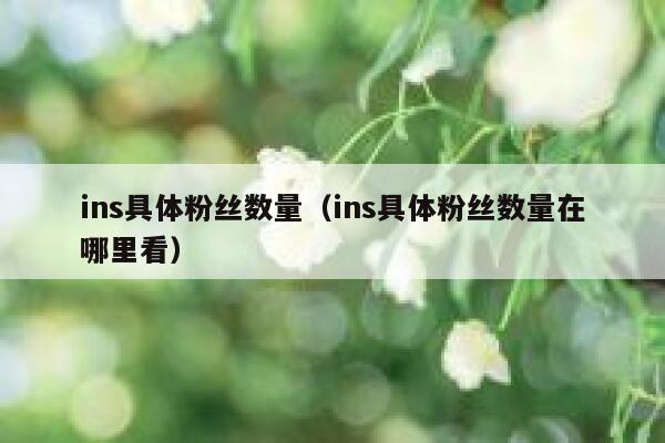 ins具体粉丝数量(ins具体粉丝数量在哪里看) 第1张 ins具体粉丝数量(ins具体粉丝数量在哪里看) 第1张