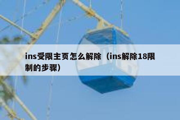 ins受限主页怎么解除(ins解除18限制的步骤) 第1张 ins受限主页怎么解除(ins解除18限制的步骤) 第1张