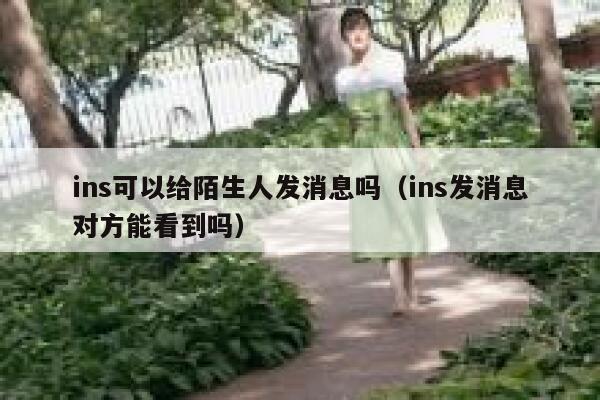 ins可以给陌生人发消息吗(ins发消息对方能看到吗) 第1张 ins可以给陌生人发消息吗(ins发消息对方能看到吗) 第1张