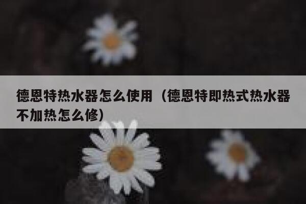 德恩特热水器怎么使用（德恩特即热式热水器不加热怎么修） 第1张