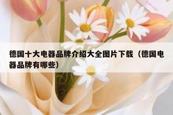 德国十大电器品牌介绍大全图片下载（德国电器品牌有哪些） 第1张
