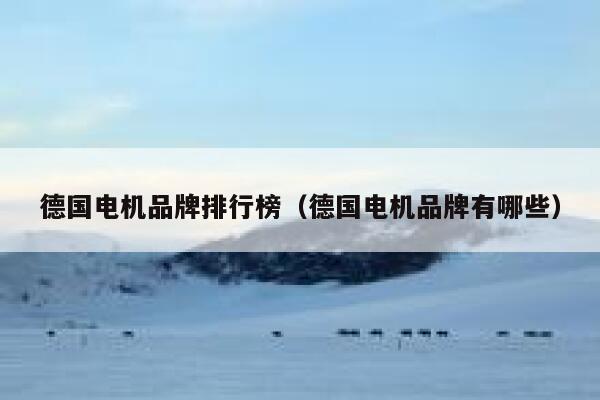 德国电机品牌排行榜（德国电机品牌有哪些） 第1张