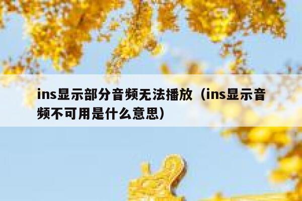 ins显示部分音频无法播放(ins显示音频不可用是什么意思) 第1张 ins显示部分音频无法播放(ins显示音频不可用是什么意思) 第1张