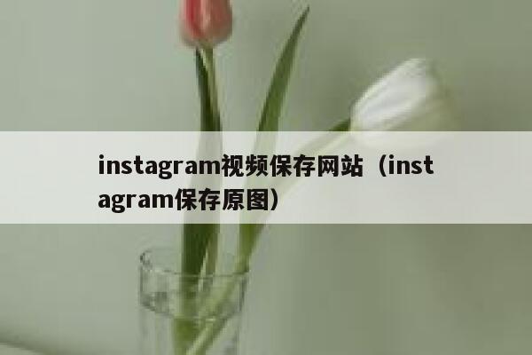 instagram视频保存网站(instagram保存原图) 第1张 instagram视频保存网站(instagram保存原图) 第1张