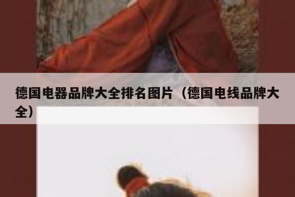 德国电器品牌大全排名图片(德国电线品牌大全) 第1张 德国电器品牌大全排名图片(德国电线品牌大全) 第1张