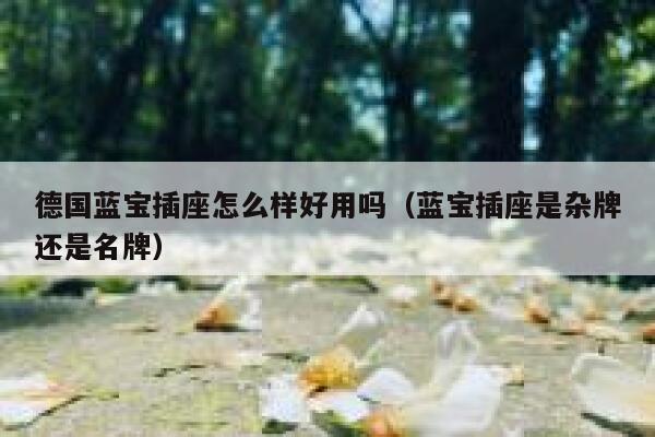 德国蓝宝插座怎么样好用吗(蓝宝插座是杂牌还是名牌) 第1张 德国蓝宝插座怎么样好用吗(蓝宝插座是杂牌还是名牌) 第1张