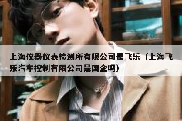 上海仪器仪表检测所有限公司是飞乐（上海飞乐汽车控制有限公司是国企吗） 第1张