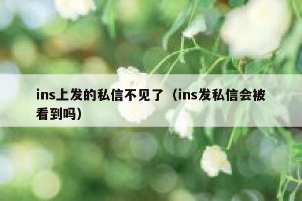 ins上发的私信不见了（ins发私信会被看到吗） 第1张